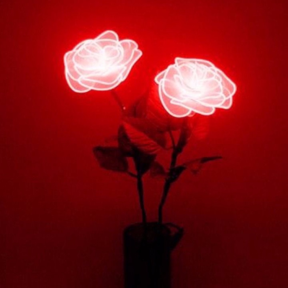 Meet your Posher, Lyd